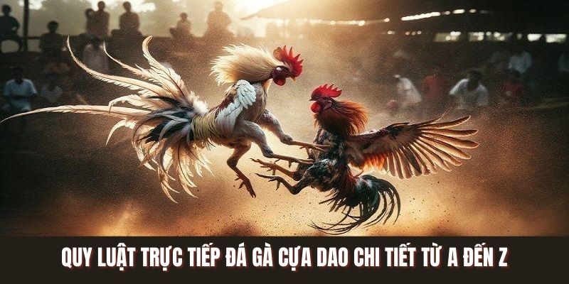 Quy luật trực tiếp đá gà cựa dao chi tiết từ A đến Z